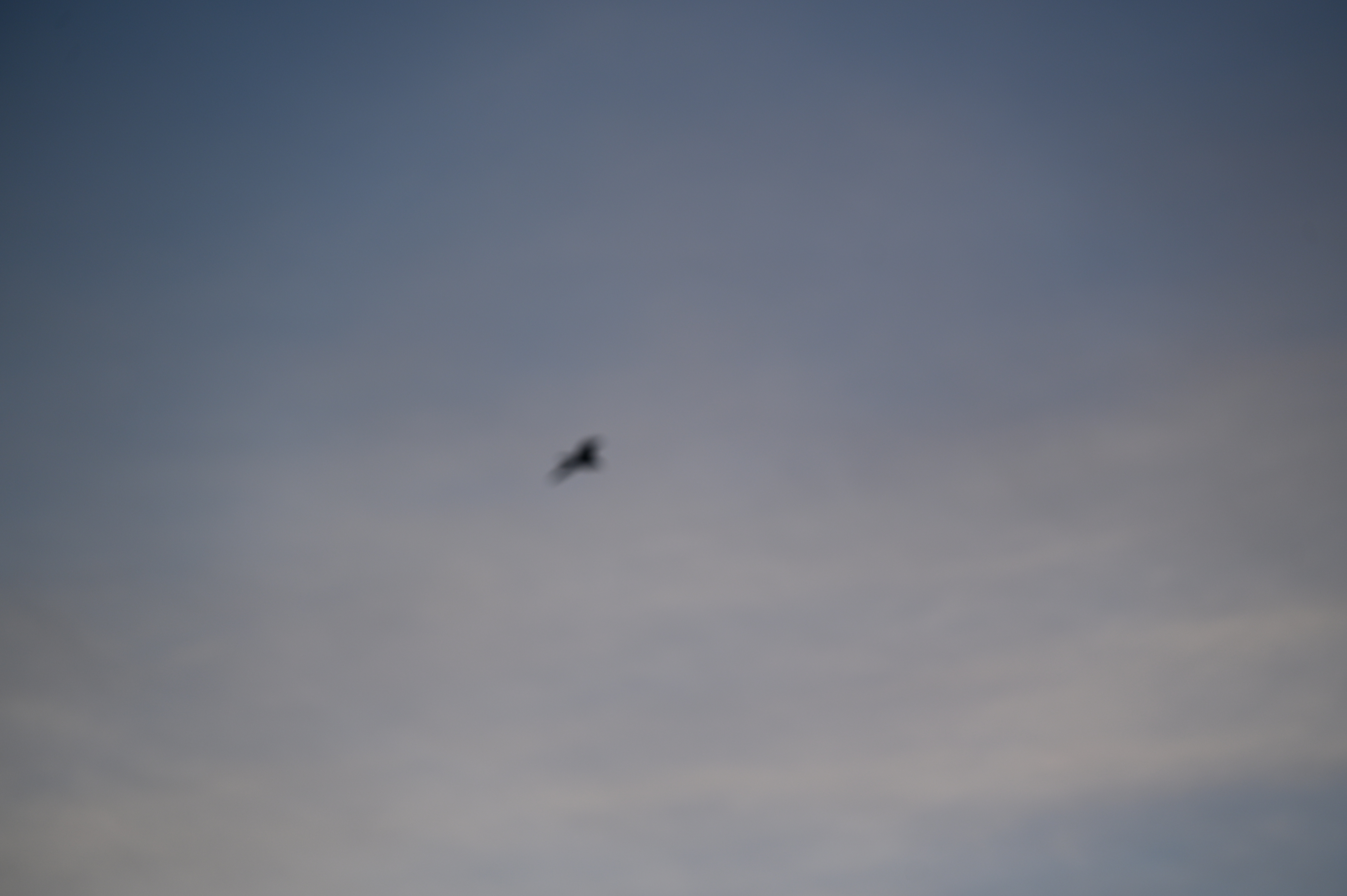 2025/07/09-14 - trip/DSC_0609.JPG